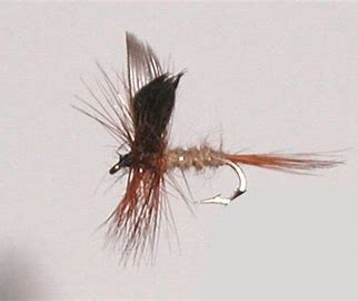 Hares Ear Trout Dry-0
