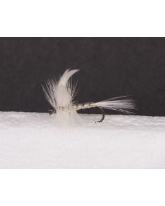 White Miller Large Trout Dry-0