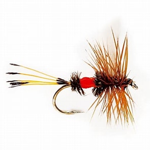 Royal Coachman Trout Dry-0