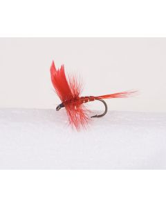 Red Abis Large Trout Dry-0