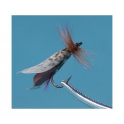 Brown Foam Trout Dry-0