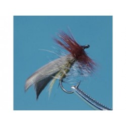 Henryville Special Trout Dry-0