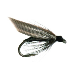 Black Gnat Trout Wet-0
