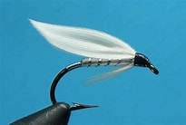 White Miller Trout Wet-0