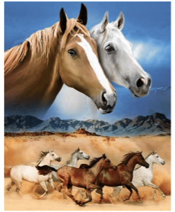 Wild Horses Micro Mink Throw -0