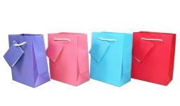 Small Gift Bags - Bright Matte Colors ~ SLEEVE OF 12-0
