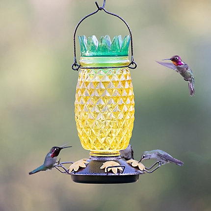 Perky-Pet Top-Fill Pineapple Hummingbird Feeder-0