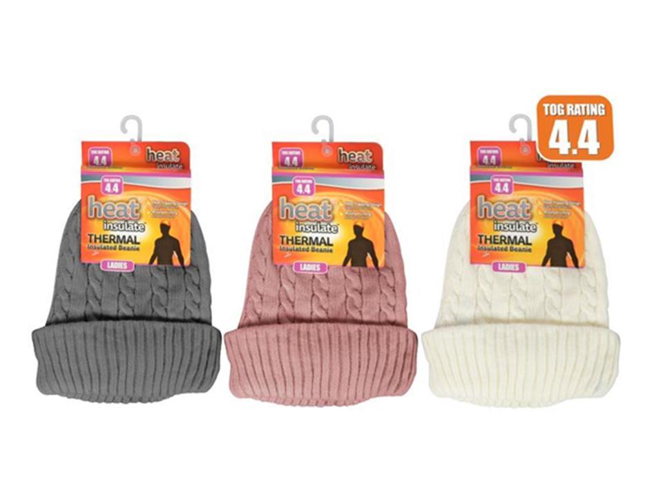 Ladies Thema Insulated Beanie Hat with Brush Lining-0