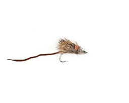 Mouse / Rat Flies-0