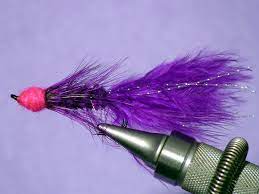 Purple with Fluorescent Pink Egg Sucking Leech -0
