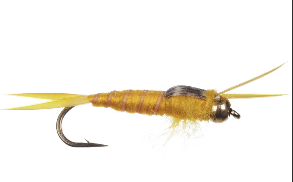 Golden Stone Fly Nymph-0