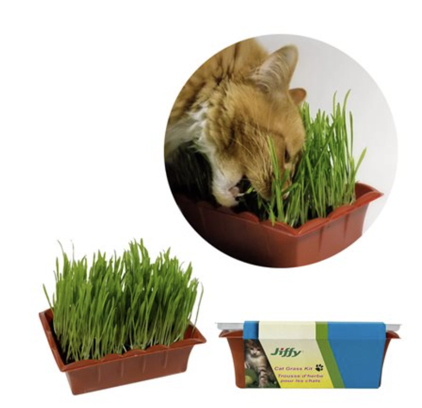 Cat Grass Kit-0
